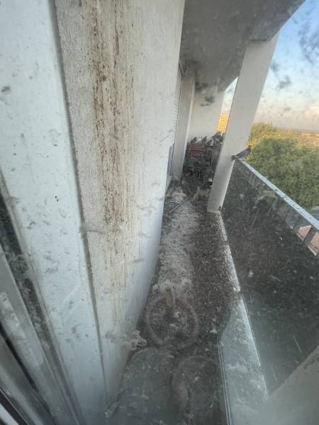 nuisances de pigeons sur un balcon Aix en provence 13100