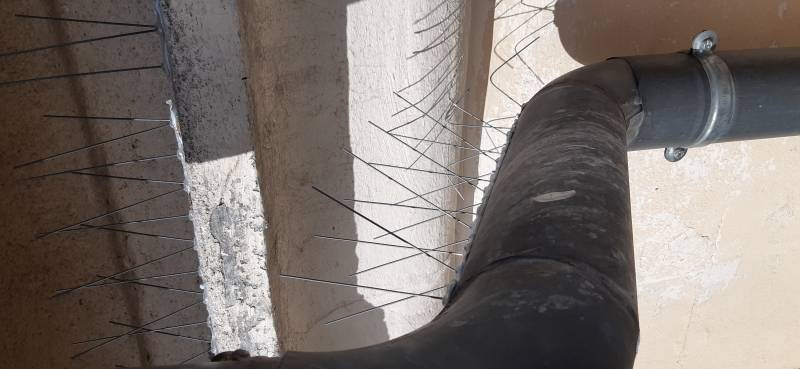 stop aux pigeons pas cher arles