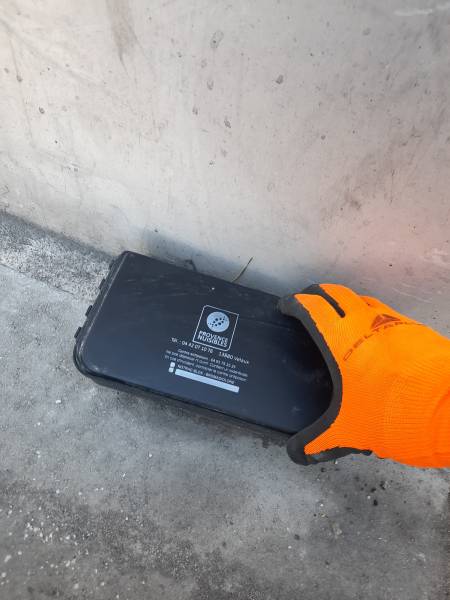 tuer les rats à marseille